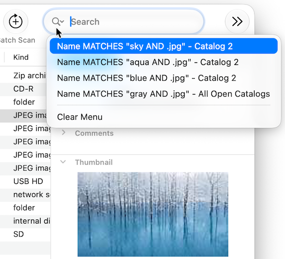 Reopen a recent search from the Quick Search pop-up menu.